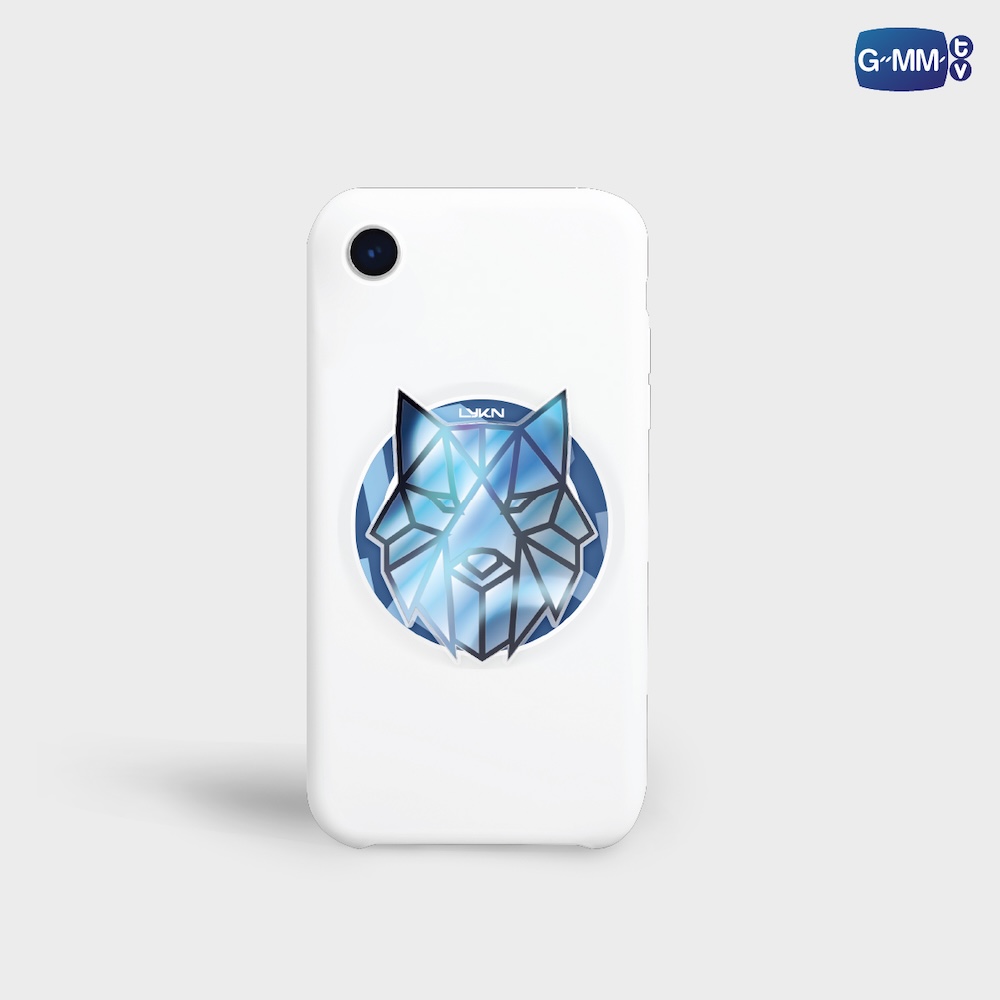 LYKN MAGSAFE GRIPTOK